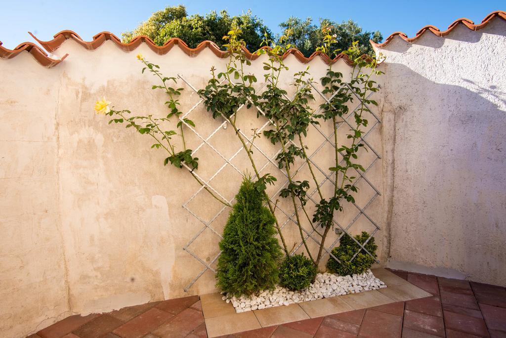Teuta Apartments - A Beach And A Sea View Peroj Εξωτερικό φωτογραφία